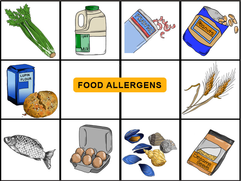 allergens food education online graphic